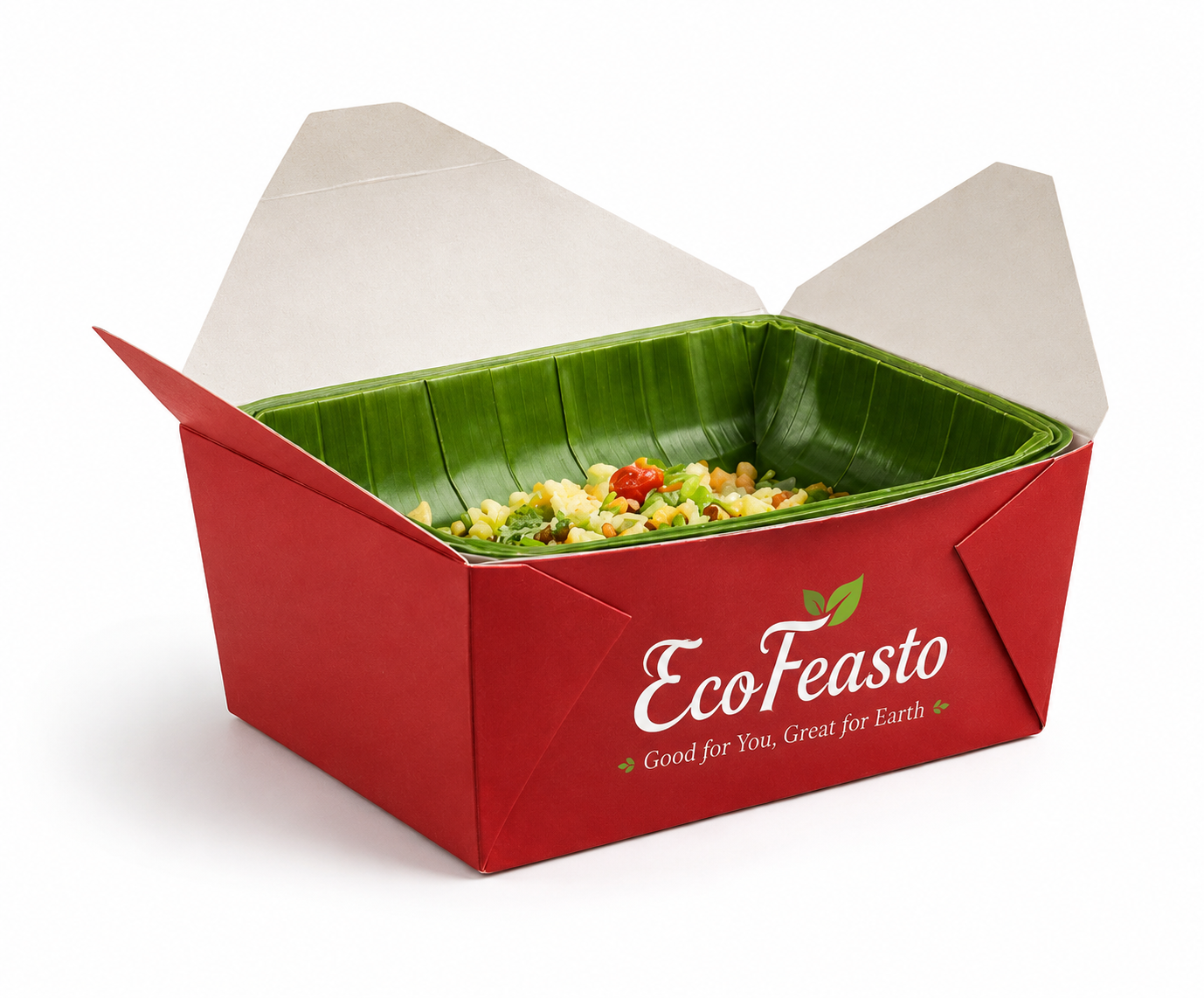 Eco food packaging box